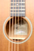 Tanglewood TW2-T Winterleaf Mahogany Travel-Size Acoustic w/ Gig Bag