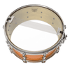 Remo 14" Ambassador Hazy Snare Side Drumhead - Musicville